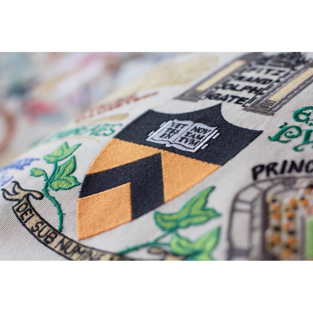 Princeton University Collegiate Embroidered Pillow by CatStudio by Quirks! at Shirley Shoppe