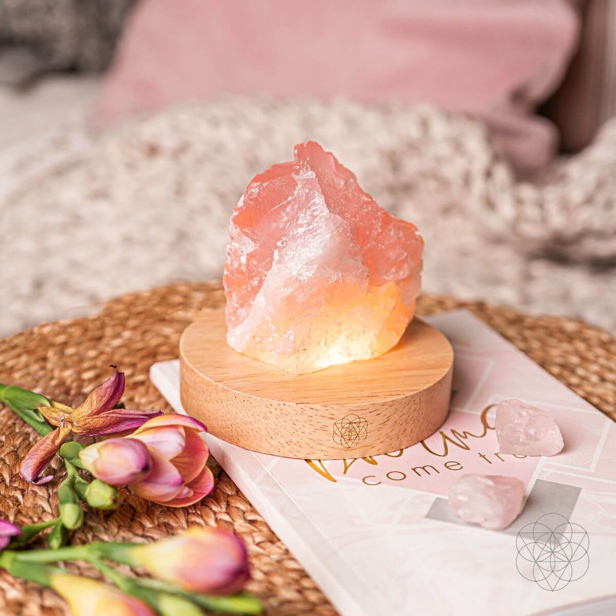 Rose Quartz Lamp of Compassion by Conscious Items at Shirley Shoppe