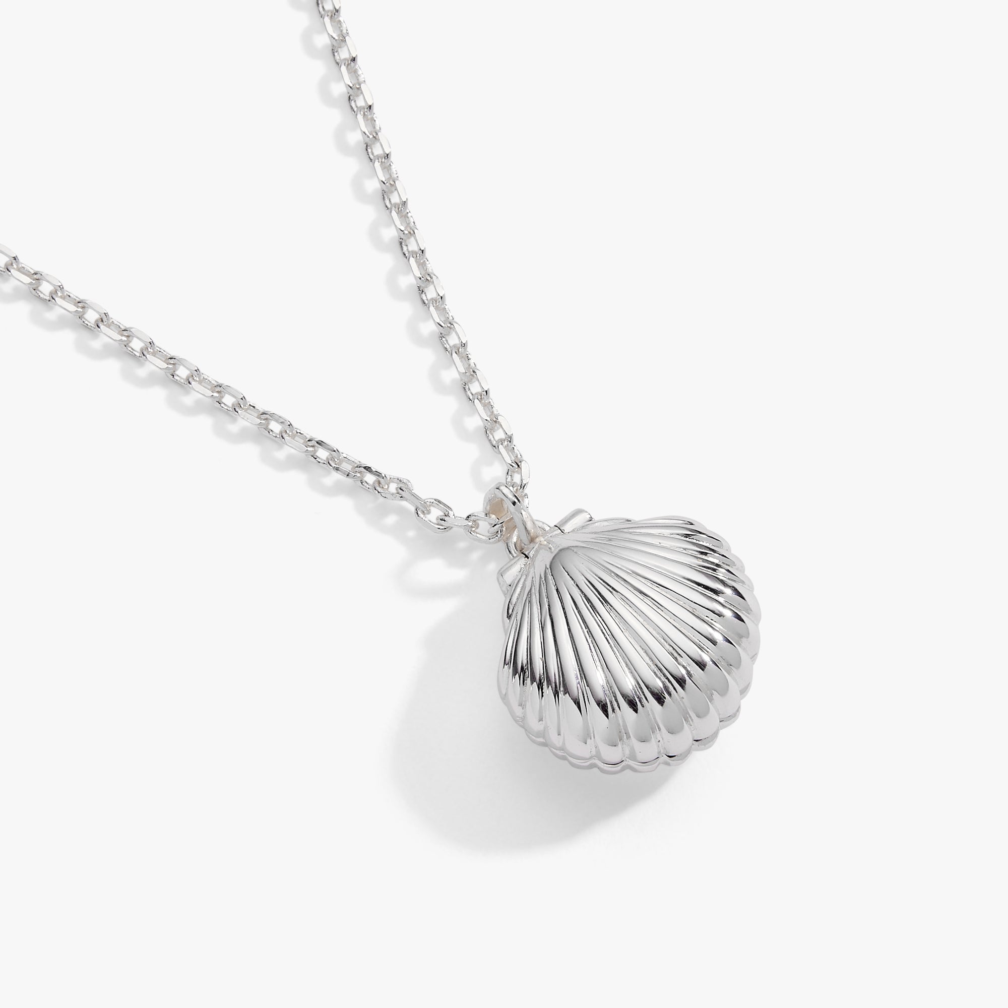 Salt + Sea 'Seashells Are Love Letters In The Sand' Seashell Locket Pendant by ALEX AND ANI at Shirley Shoppe