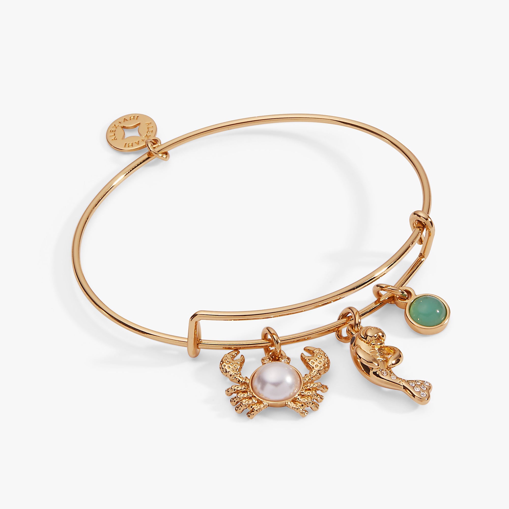 Sea Creature Multi Charm Bangle by ALEX AND ANI at Shirley Shoppe