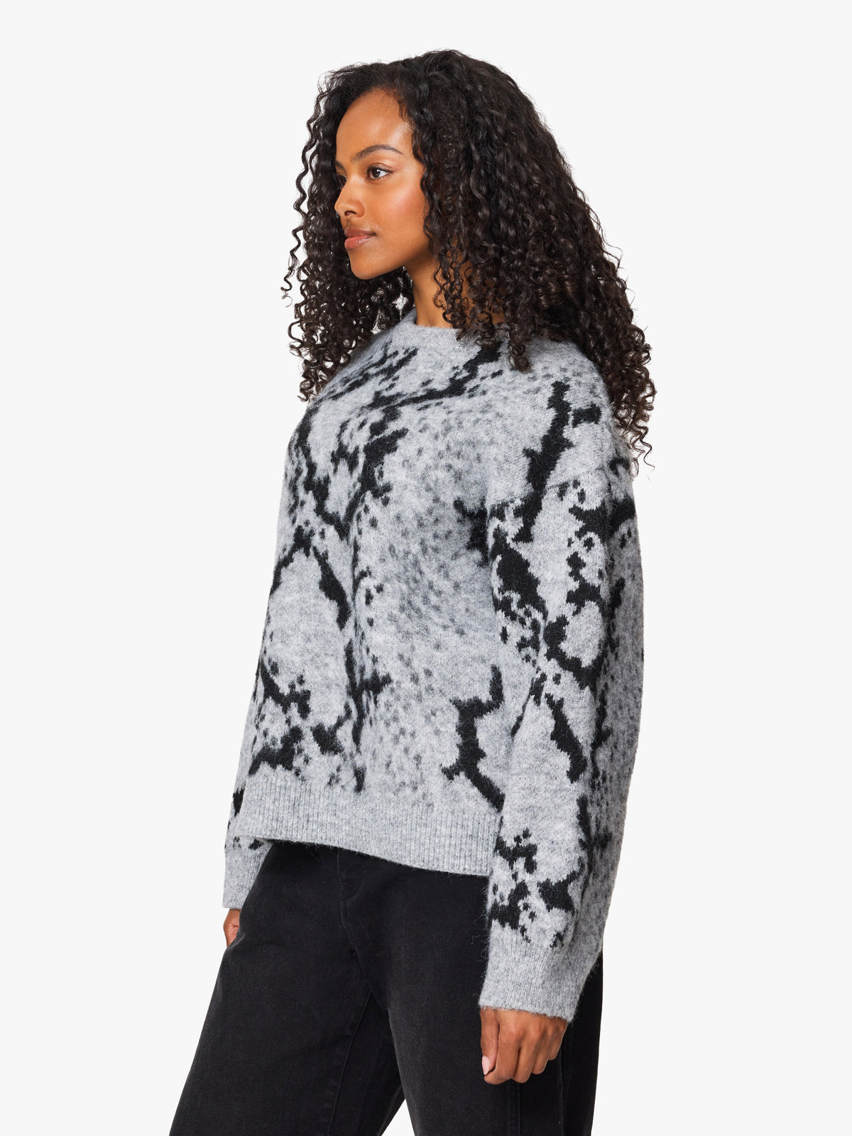 Fuzzy Python Print Sweater in Python Print