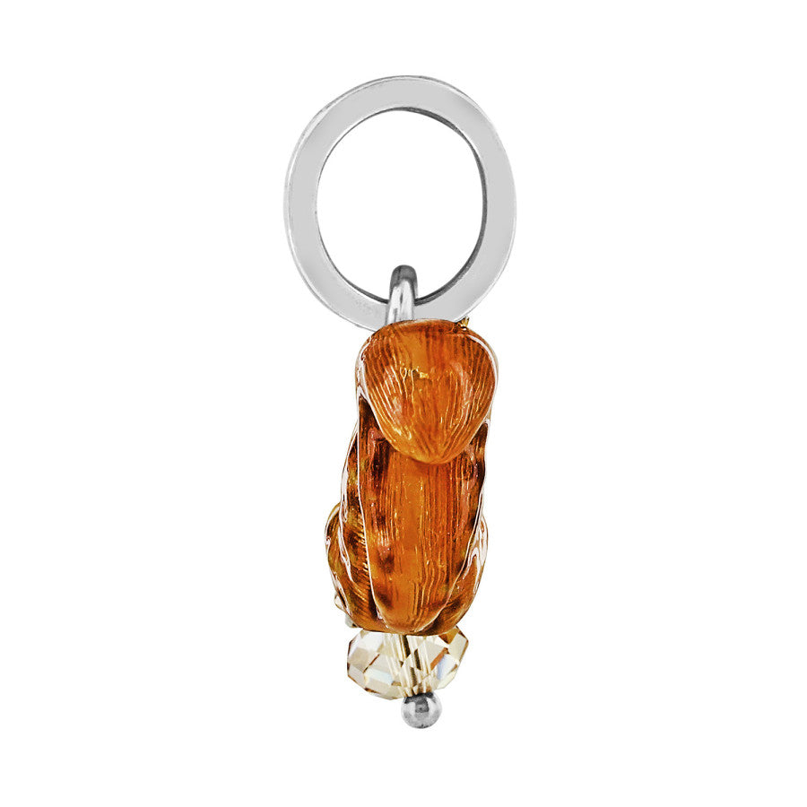 Squirrel Charm