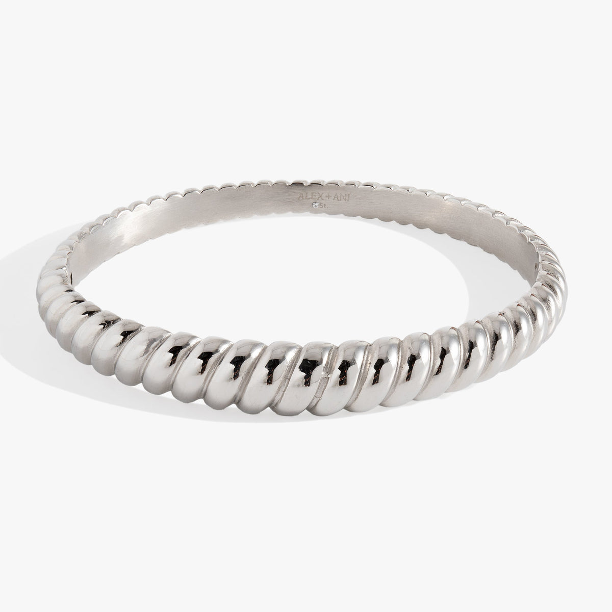 Stainless Steel Rope Textured Bangle by ALEX AND ANI at Shirley Shoppe