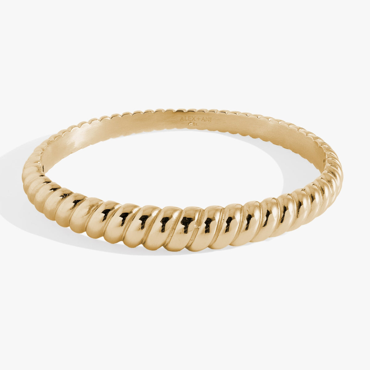 Stainless Steel Rope Textured Bangle by ALEX AND ANI at Shirley Shoppe