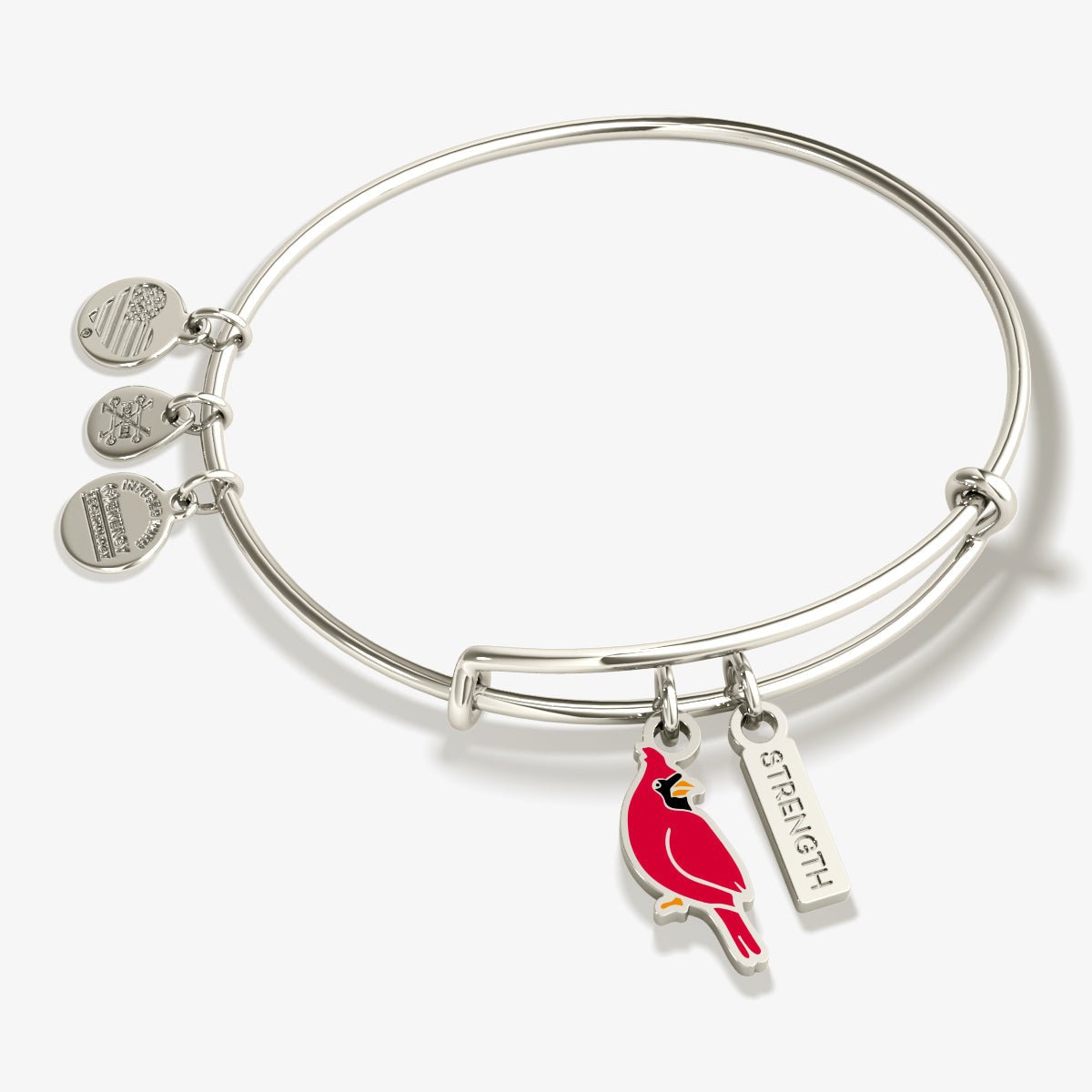 'Strength' Cardinal Duo Charm Bangle Bracelet by ALEX AND ANI at Shirley Shoppe