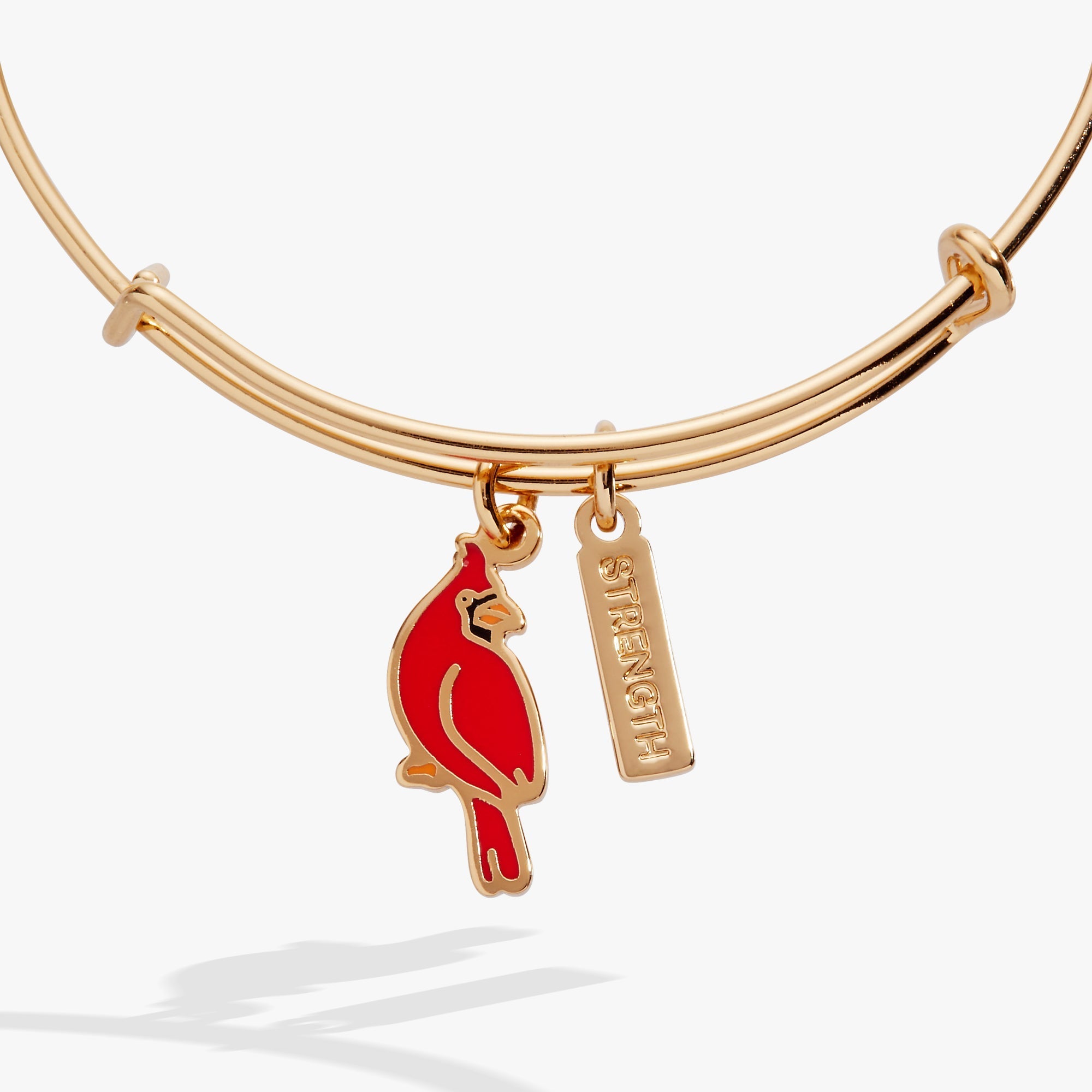 'Strength' Cardinal Duo Charm Bangle Bracelet by ALEX AND ANI at Shirley Shoppe