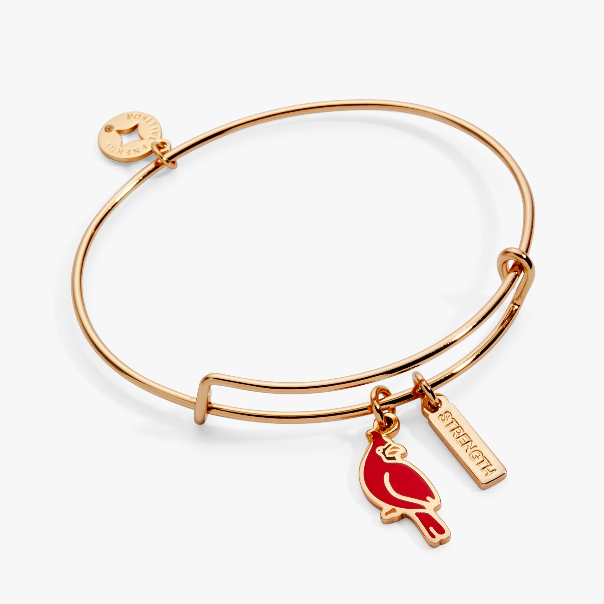 'Strength' Cardinal Duo Charm Bangle Bracelet by ALEX AND ANI at Shirley Shoppe