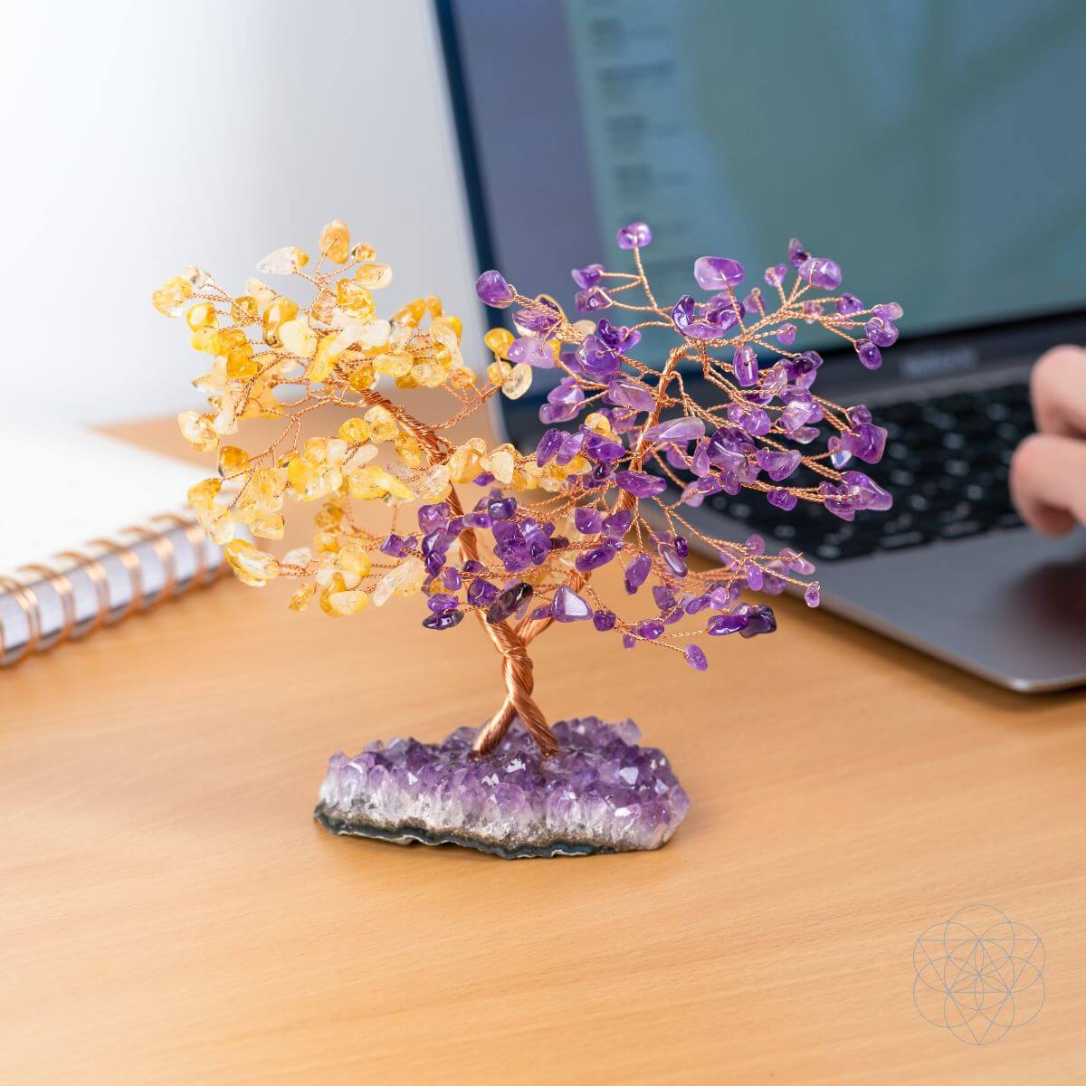 Supreme Abundance: Tree of Everlasting Fortune by Conscious Items at Shirley Shoppe