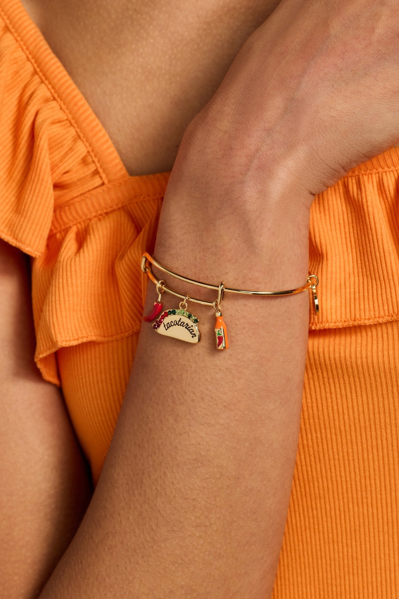 'Tacotarian' Multi Charm Bangle by ALEX AND ANI at Shirley Shoppe