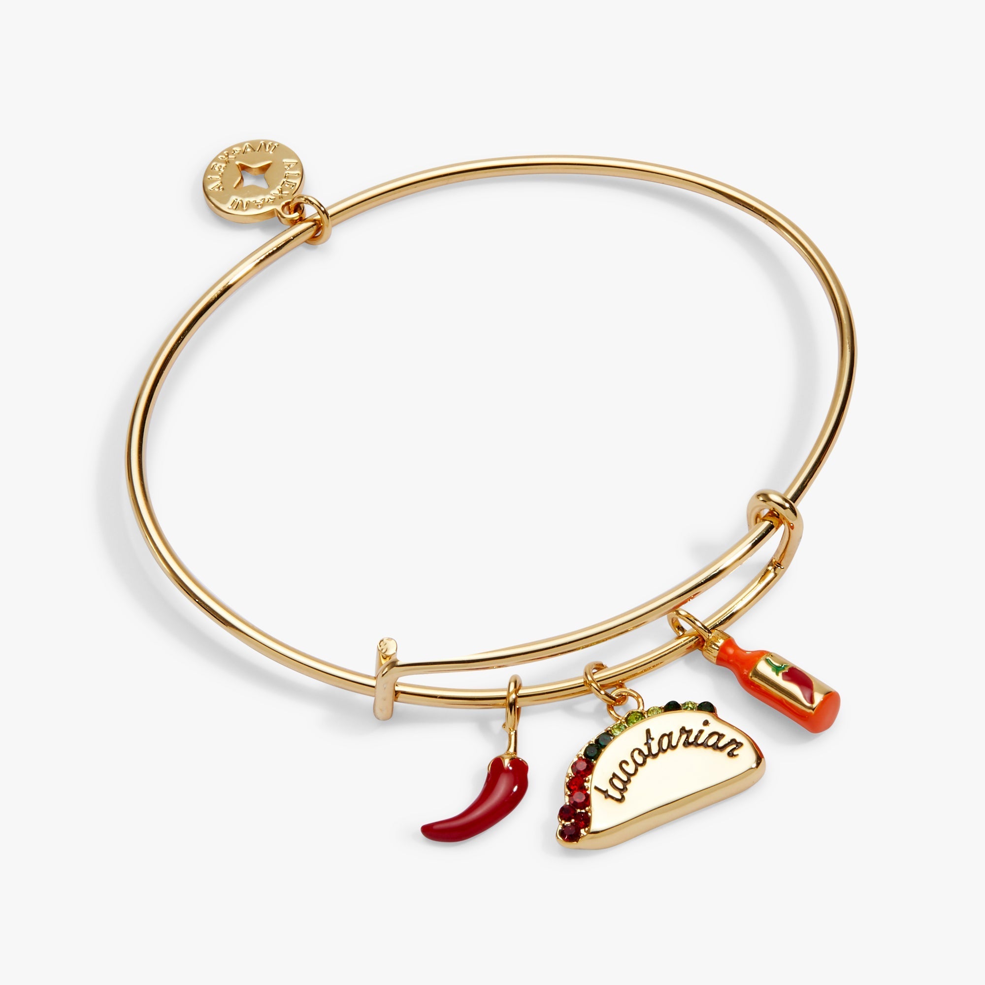 'Tacotarian' Multi Charm Bangle by ALEX AND ANI at Shirley Shoppe