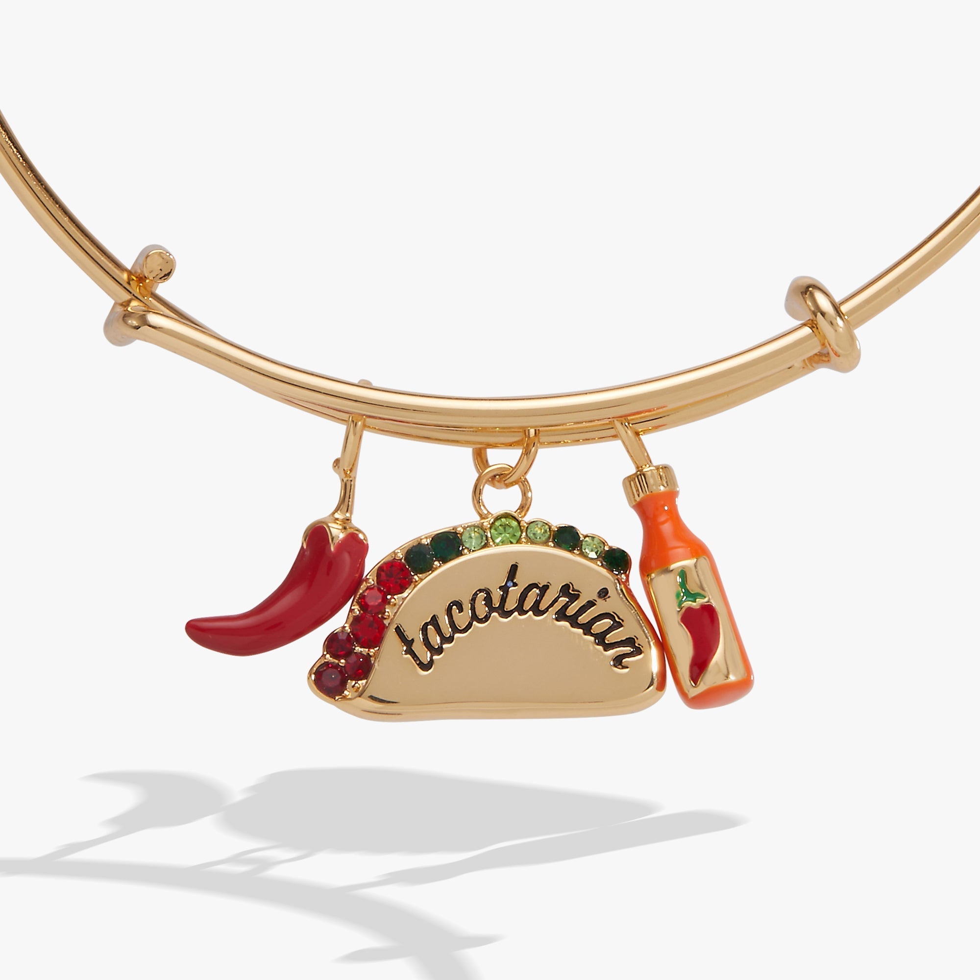 'Tacotarian' Multi Charm Bangle by ALEX AND ANI at Shirley Shoppe