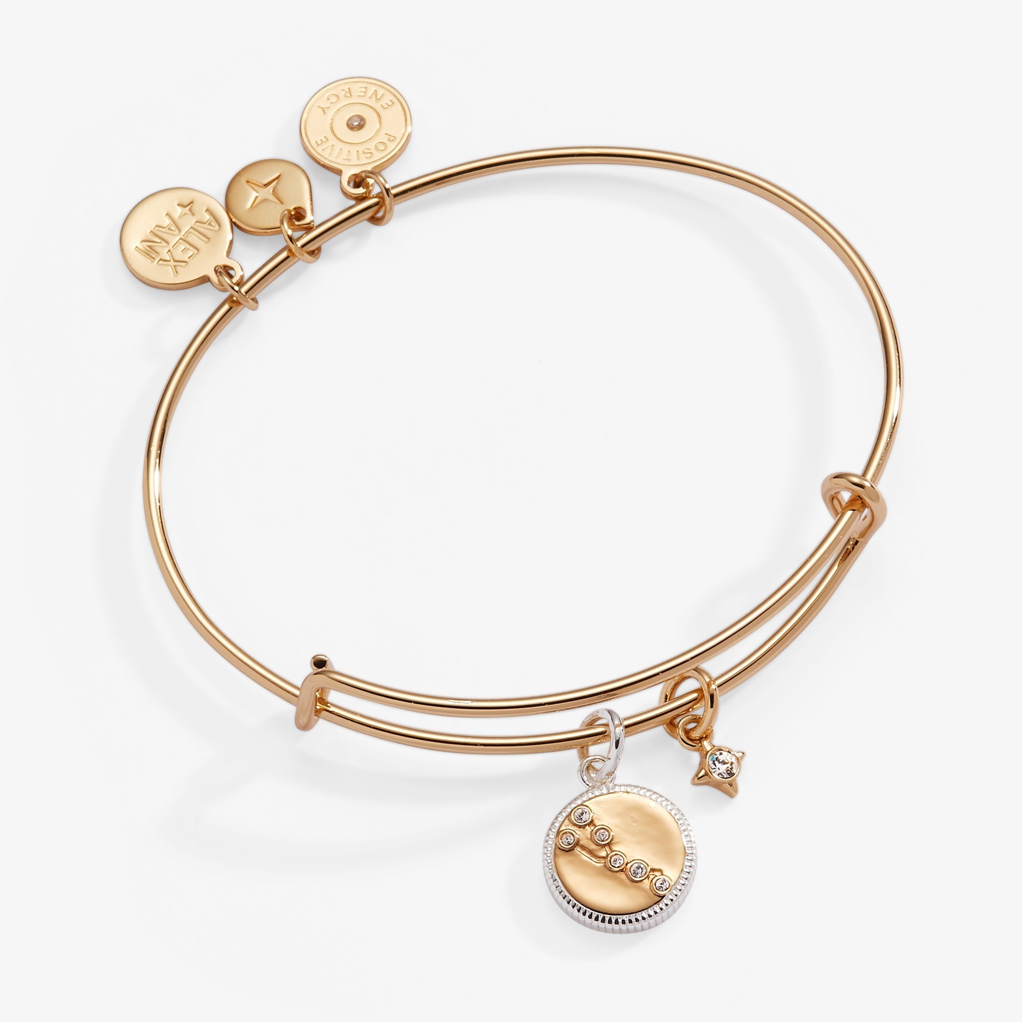 Taurus Zodiac Charm Bangle by ALEX AND ANI at Shirley Shoppe