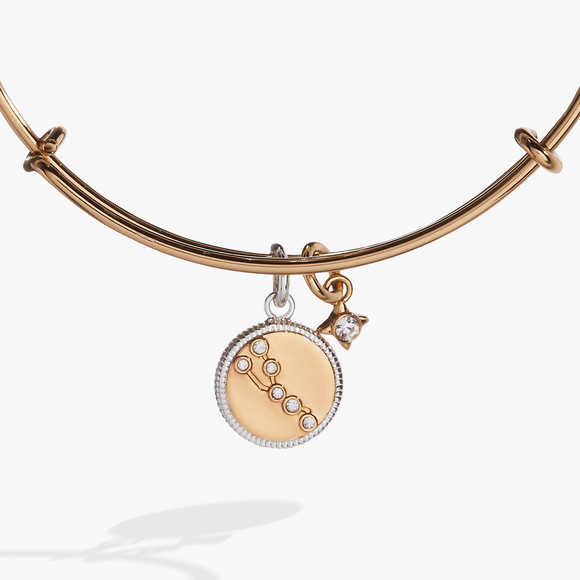 Taurus Zodiac Charm Bangle by ALEX AND ANI at Shirley Shoppe