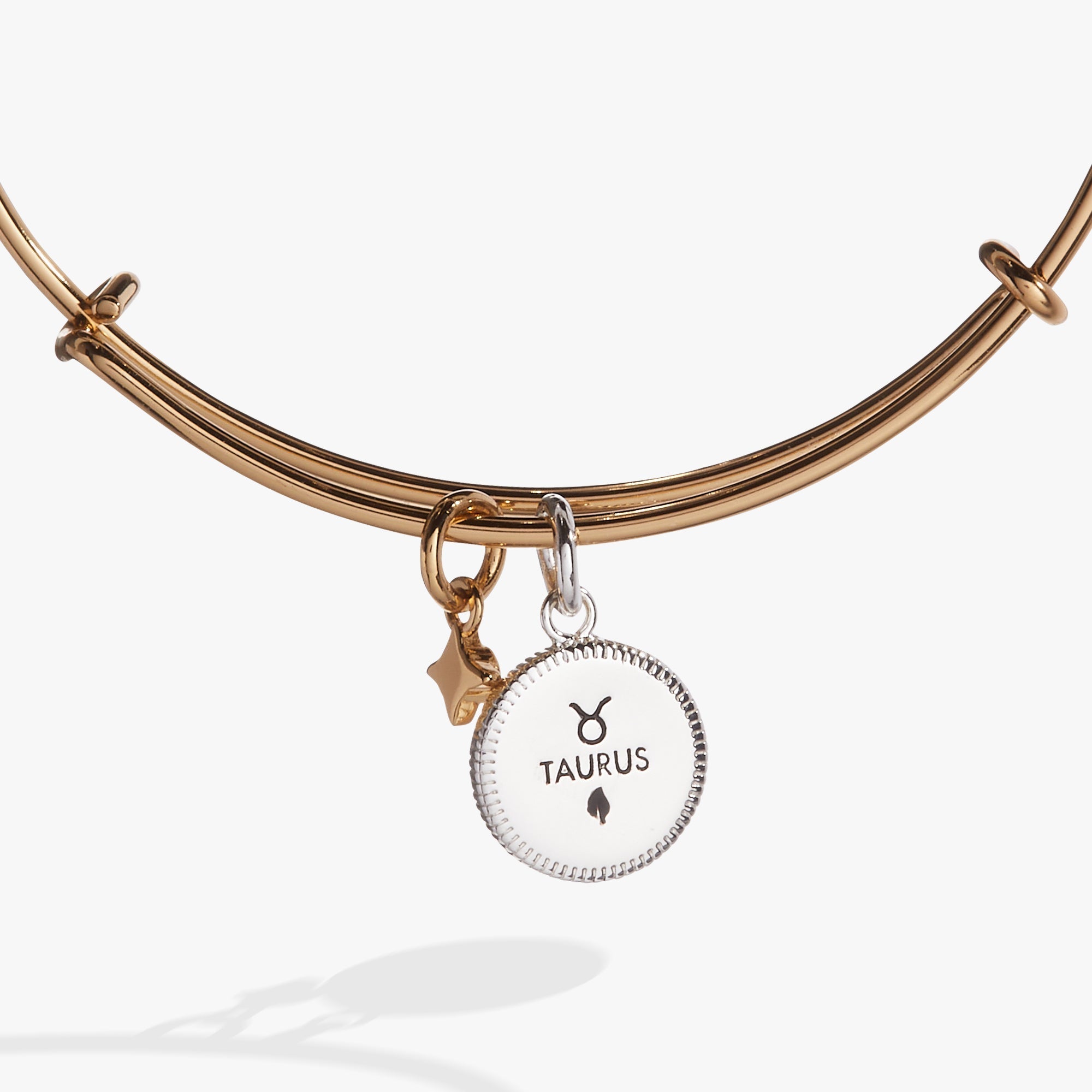 Taurus Zodiac Charm Bangle by ALEX AND ANI at Shirley Shoppe