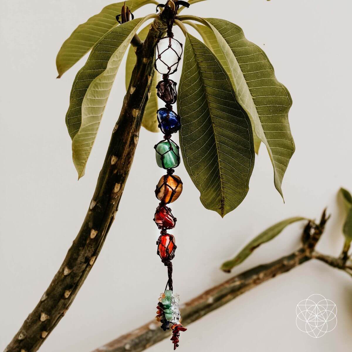The 7 Chakra Healing Tassel by Conscious Items at Shirley Shoppe