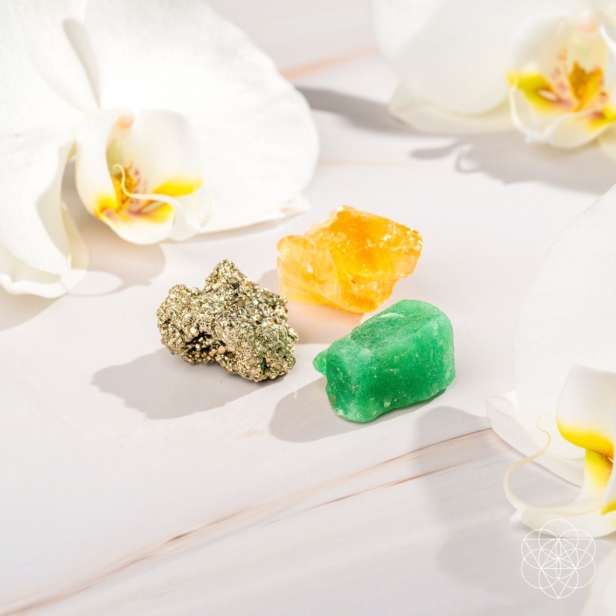 The Abundance Trio by Conscious Items at Shirley Shoppe