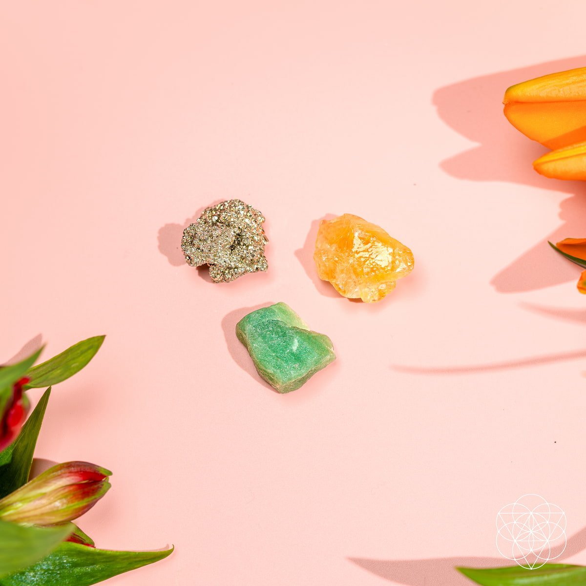 The Abundance Trio by Conscious Items at Shirley Shoppe