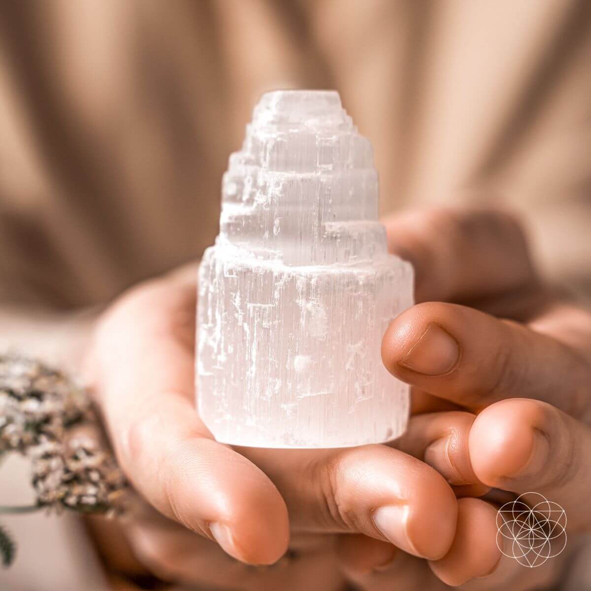The All-Cleansing Tower by Conscious Items at Shirley Shoppe