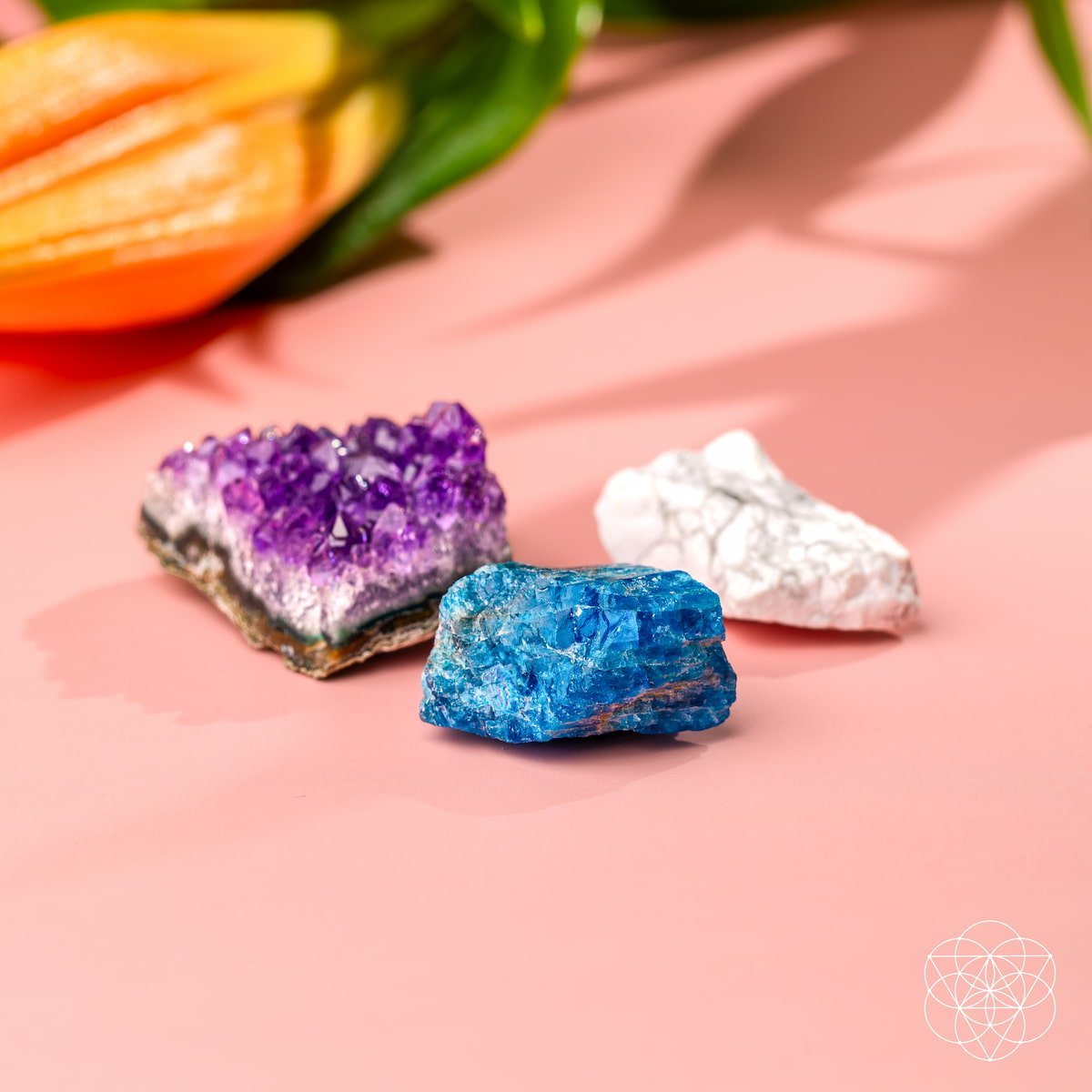 The Anti-Anxiety Trio by Conscious Items at Shirley Shoppe