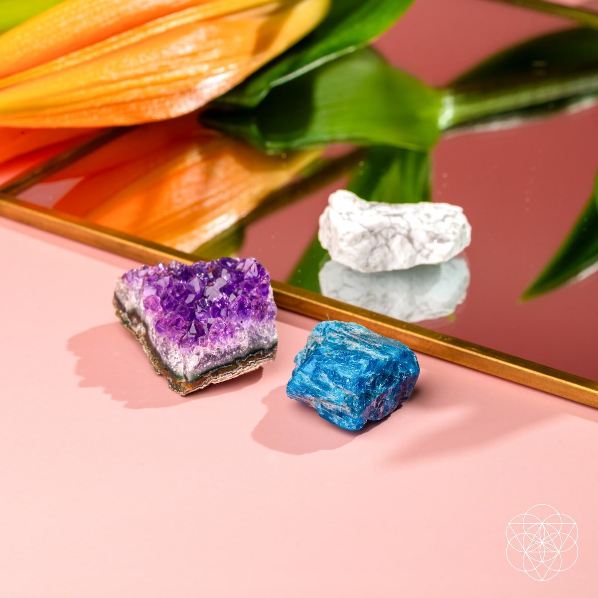 The Anti-Anxiety Trio by Conscious Items at Shirley Shoppe