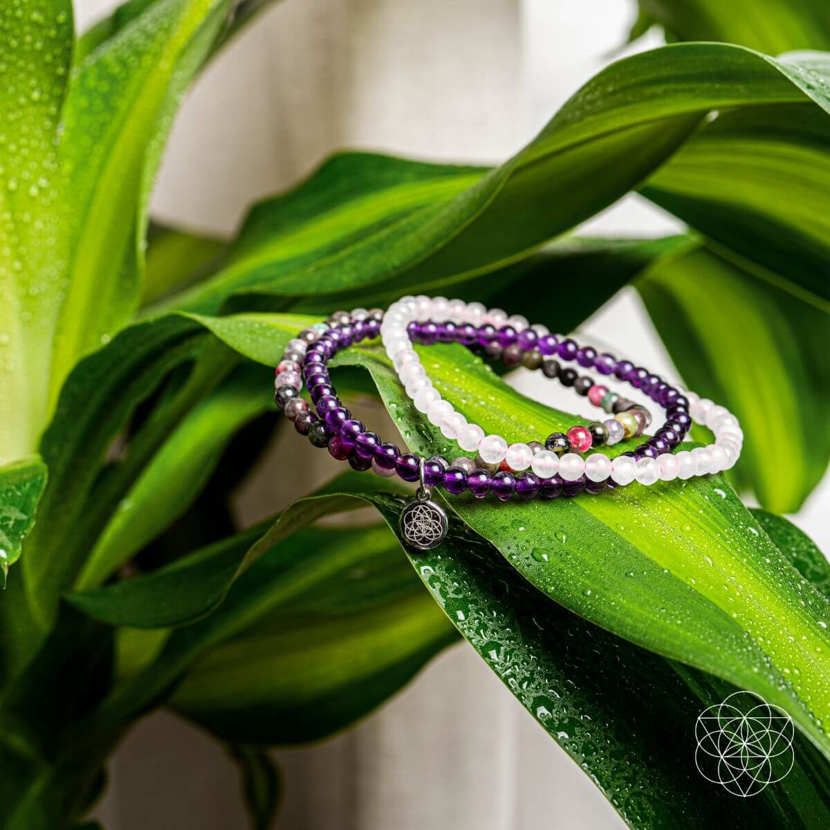 The Anxiety-Free Bracelet Set by Conscious Items at Shirley Shoppe