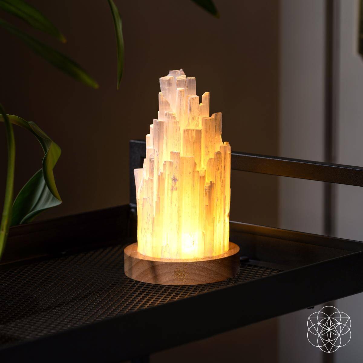 The Cleanse-All Selenite Lamp - 2 Pounds of Healing Power by Conscious Items at Shirley Shoppe