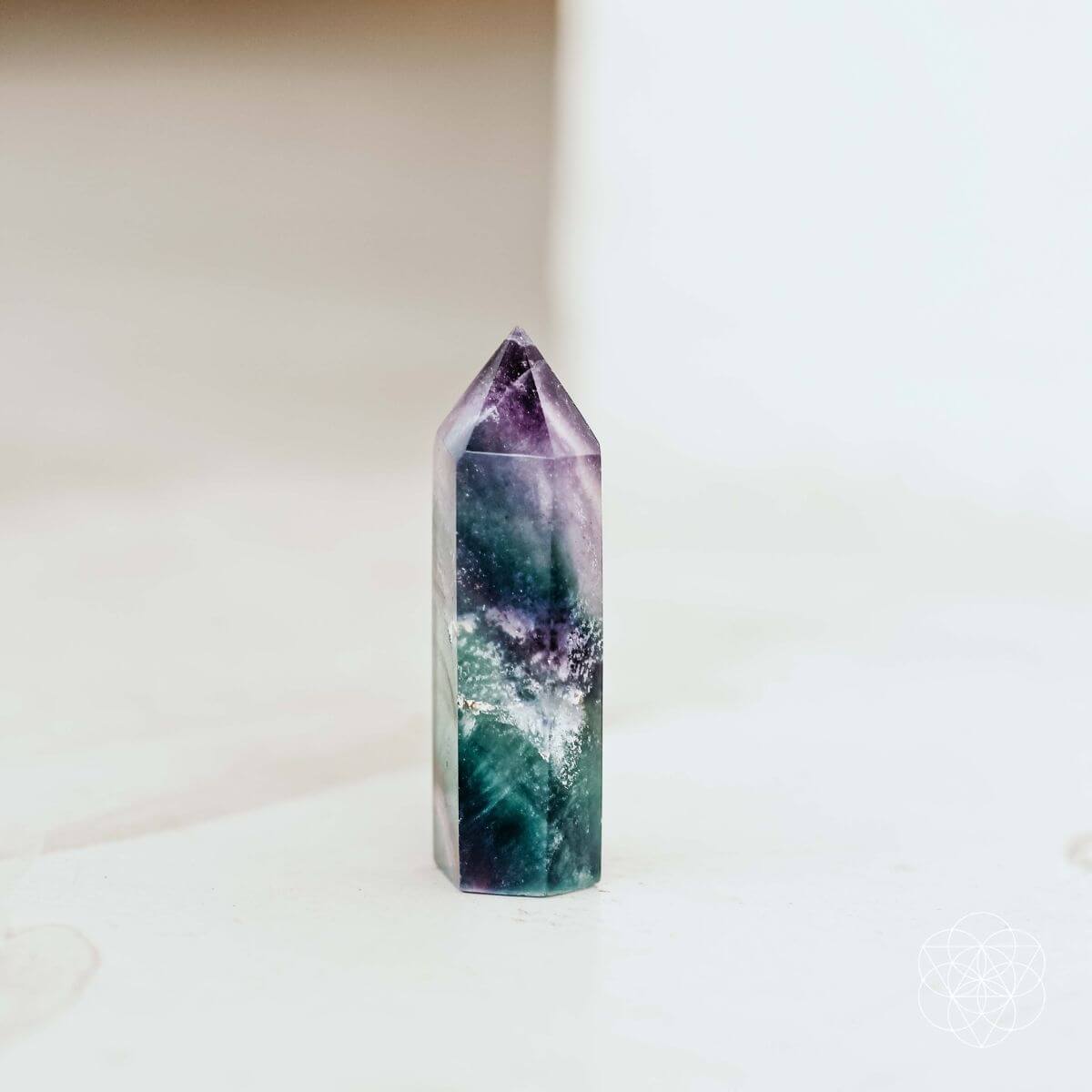 The Cleansing Stone by Conscious Items at Shirley Shoppe
