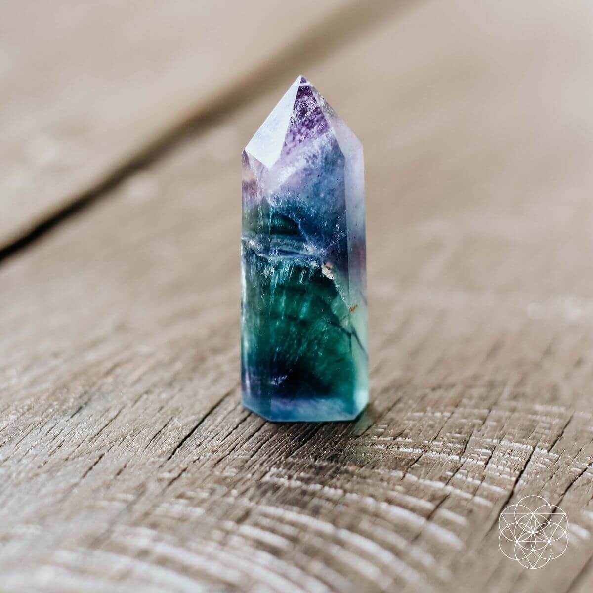 The Cleansing Stone by Conscious Items at Shirley Shoppe