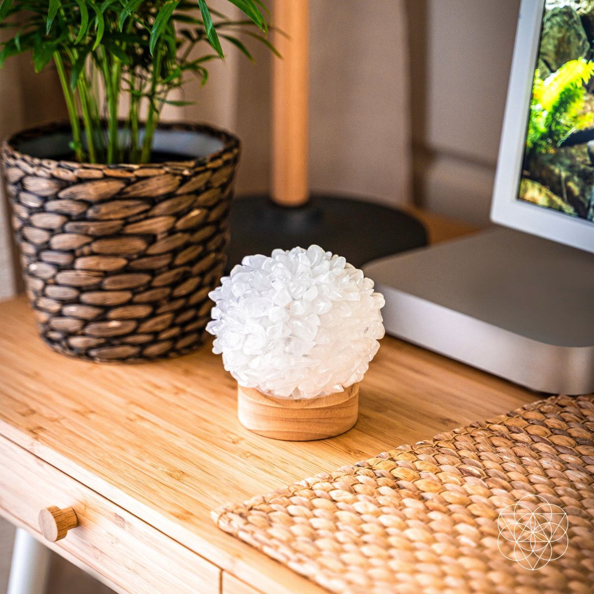 The Curative Lamp by Conscious Items at Shirley Shoppe