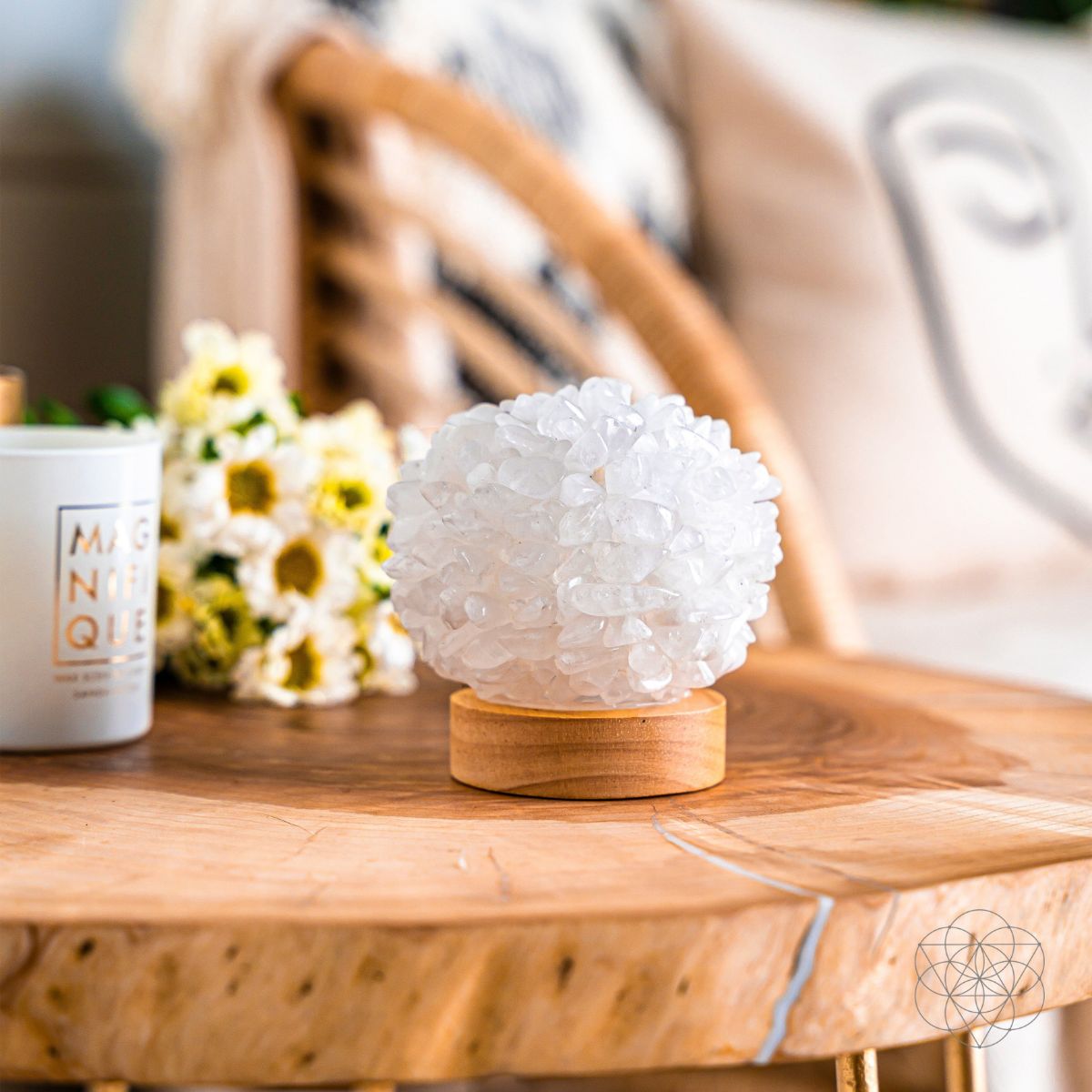 The Curative Lamp by Conscious Items at Shirley Shoppe