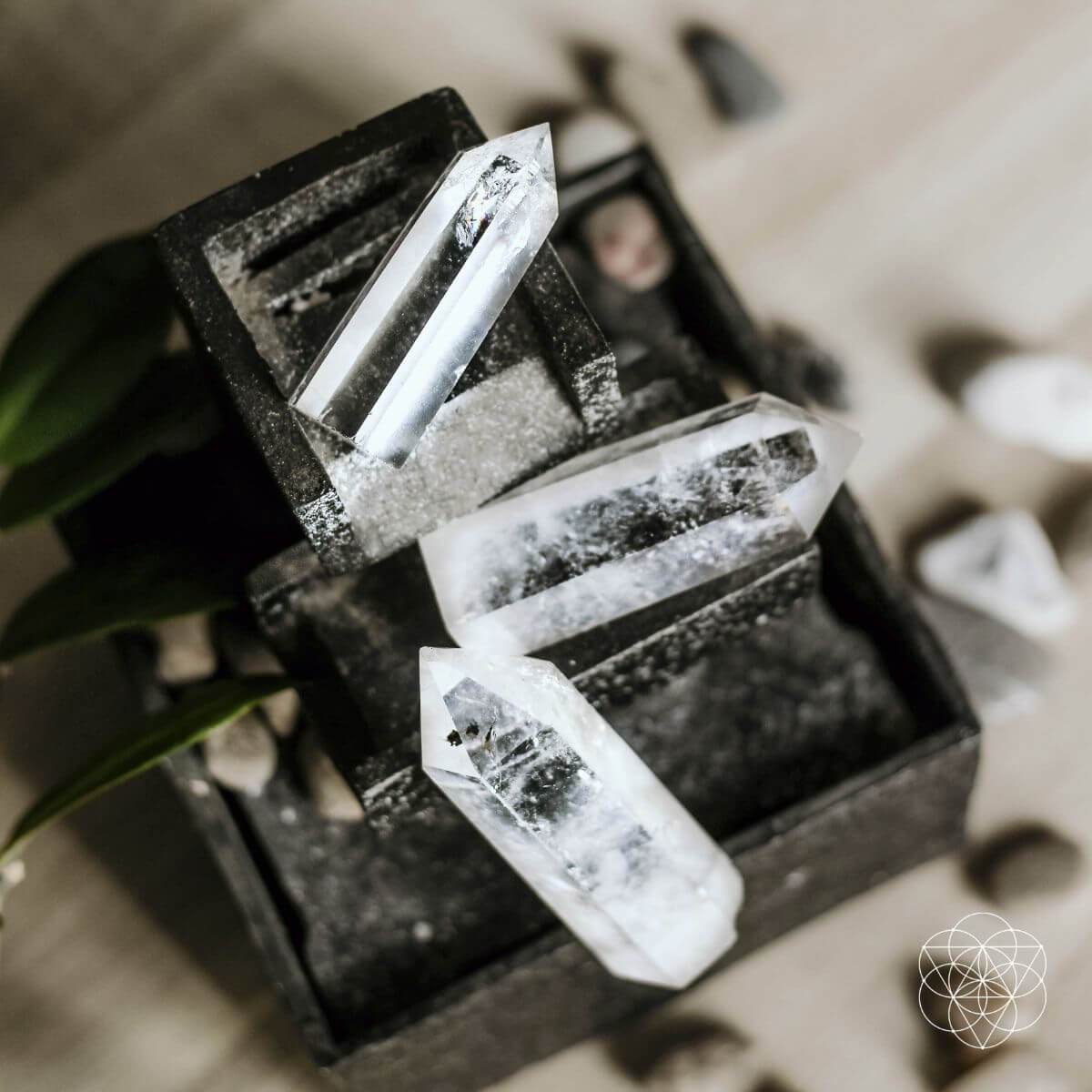 The Intention Stone by Conscious Items at Shirley Shoppe