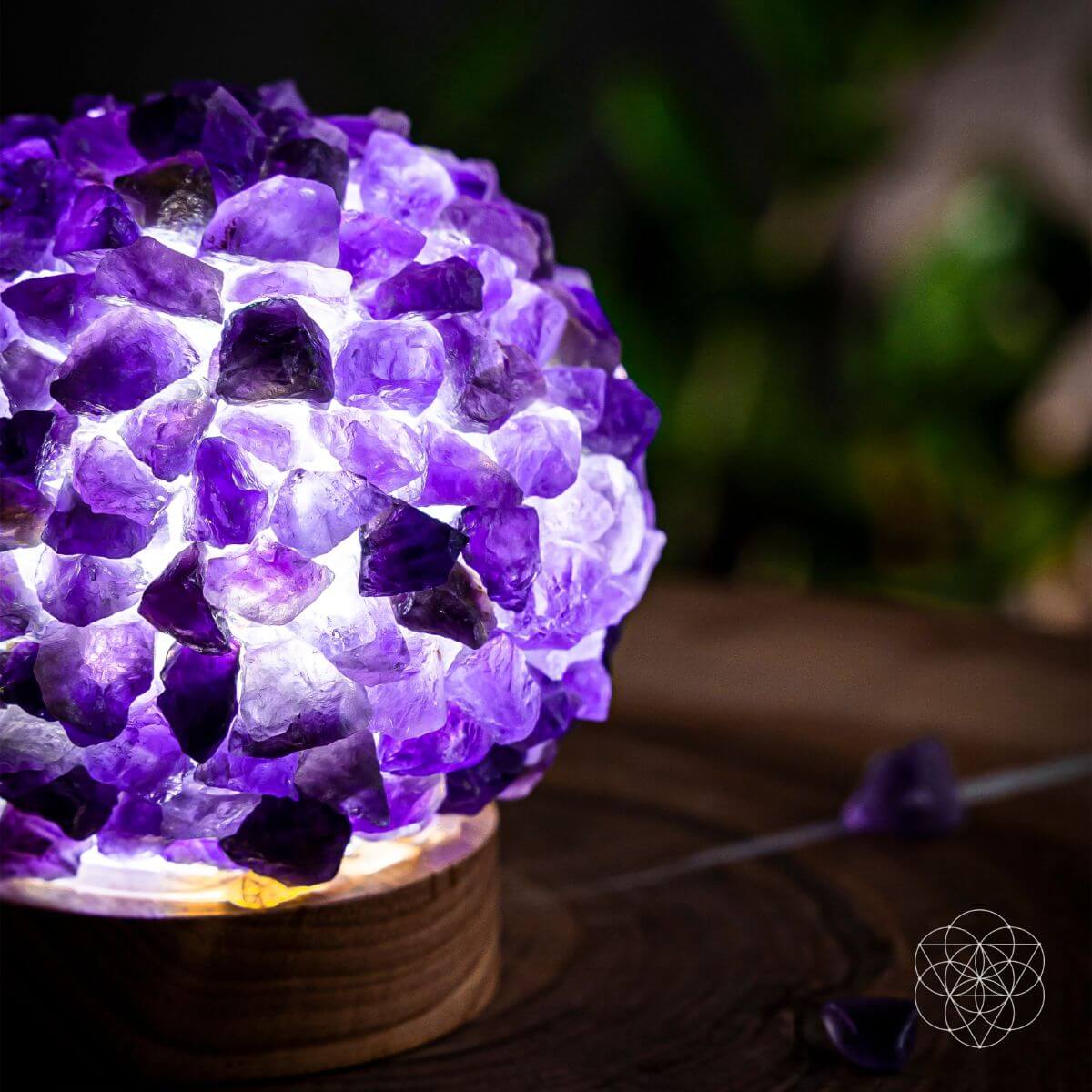 The Intuition Lamp by Conscious Items at Shirley Shoppe