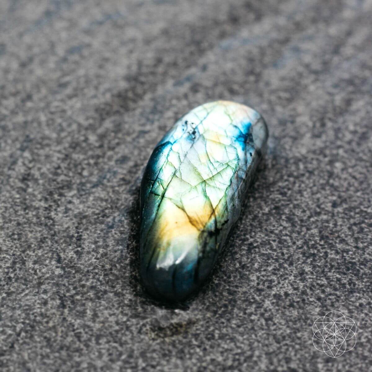 The Mind-Expanding Stone by Conscious Items at Shirley Shoppe