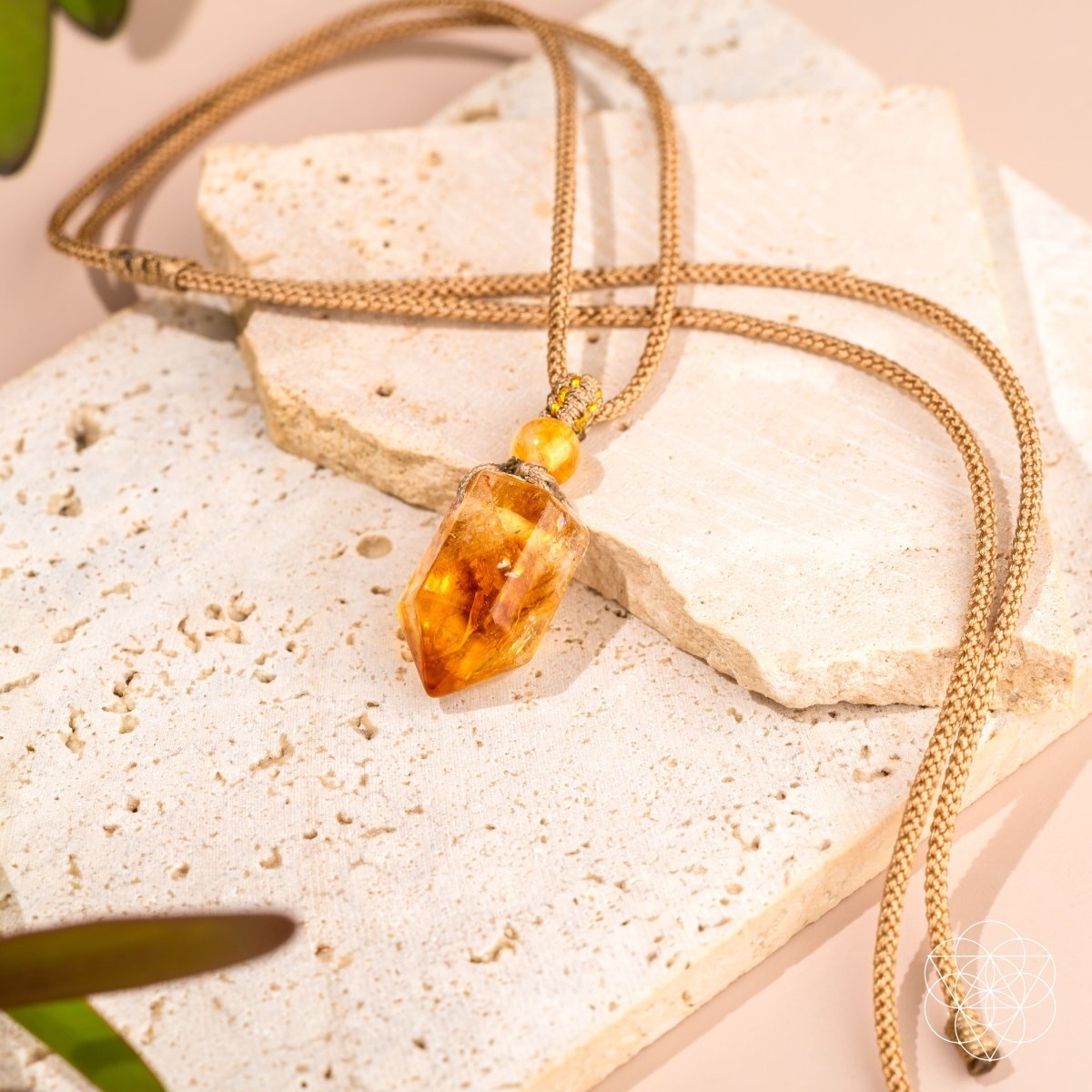 The Prosperity Pendant by Conscious Items at Shirley Shoppe