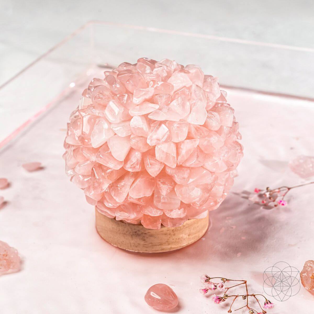 The Self-Care Lamp by Conscious Items at Shirley Shoppe