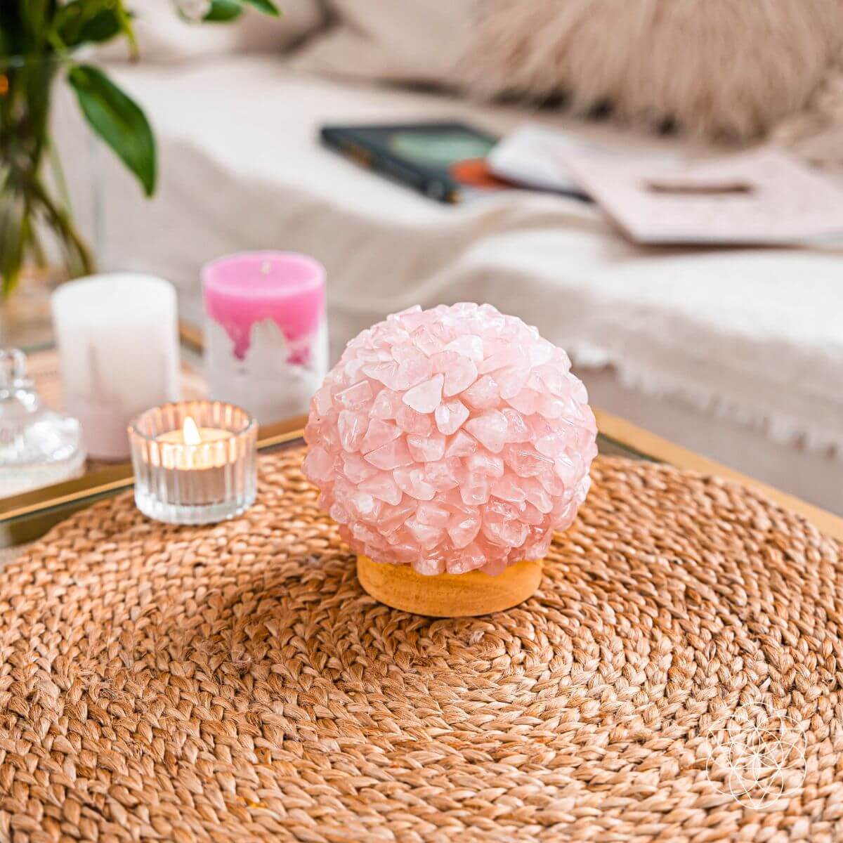 The Self-Care Lamp by Conscious Items at Shirley Shoppe