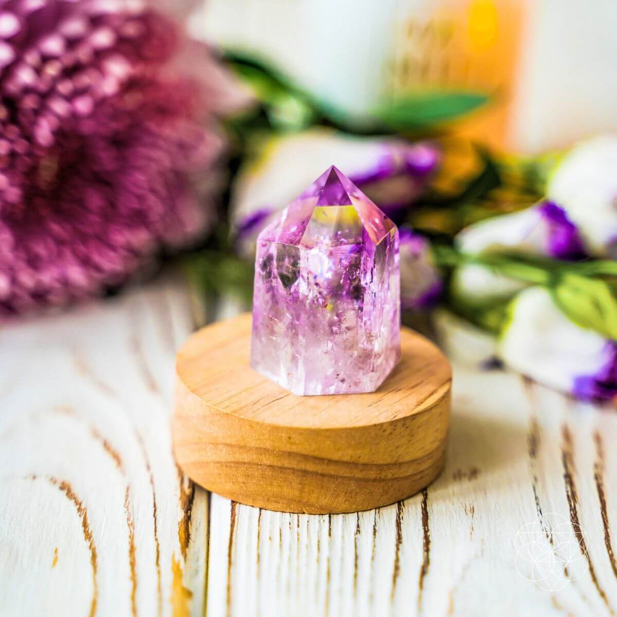 The Serenity Lamp by Conscious Items at Shirley Shoppe