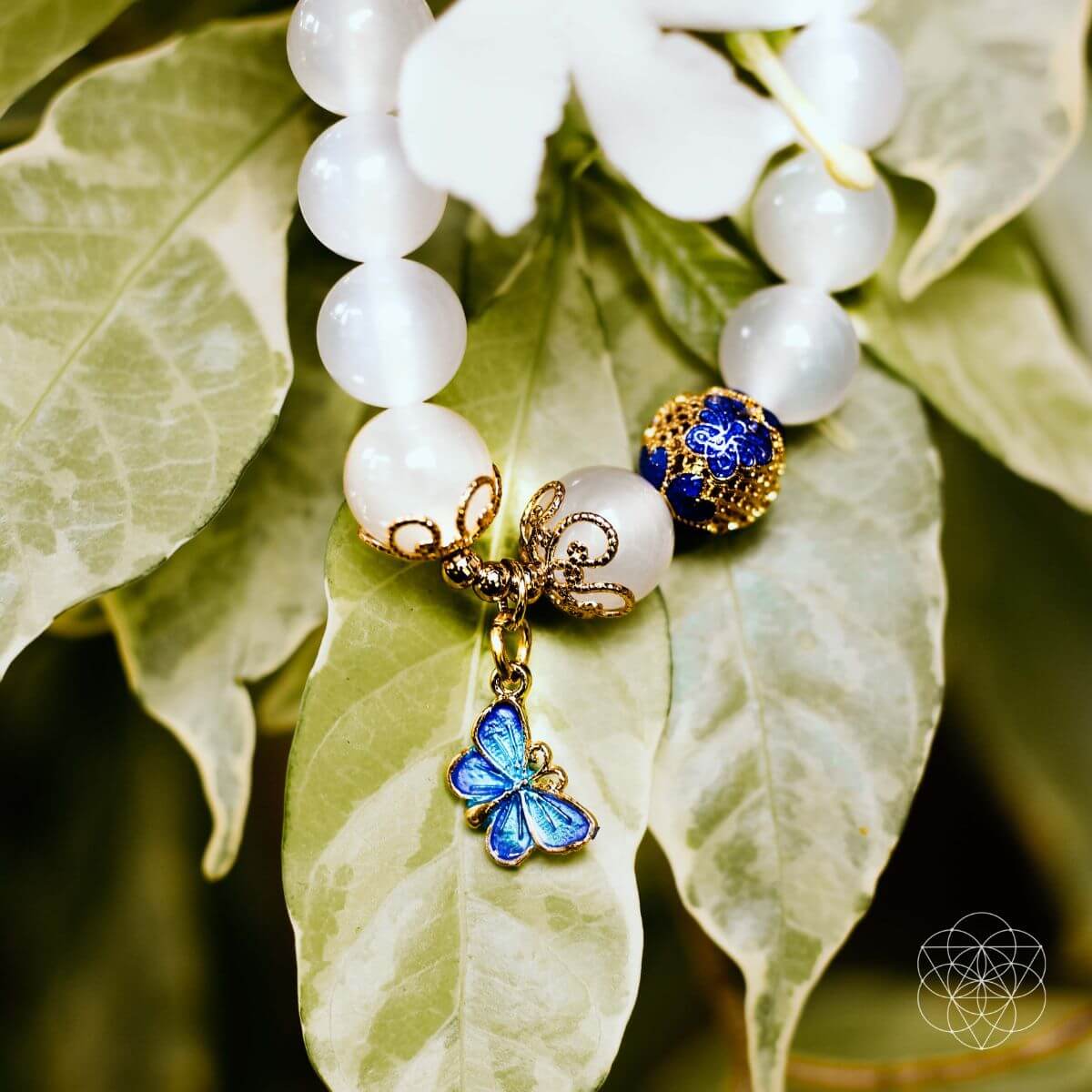 The Spiritual Growth Bracelet by Conscious Items at Shirley Shoppe