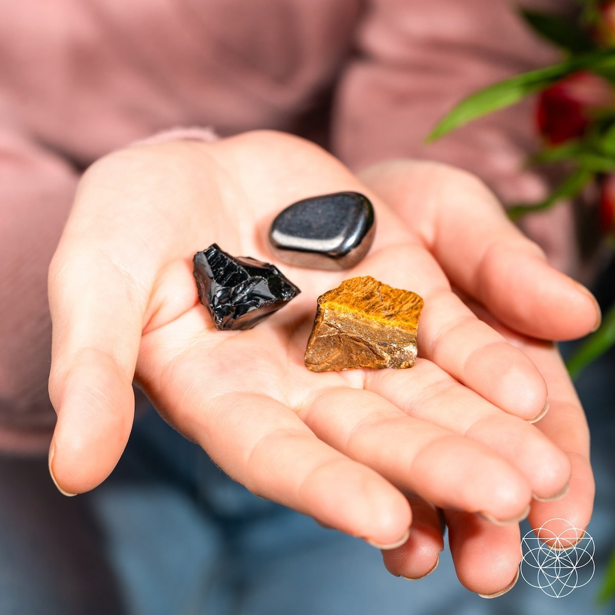 The Triple Protection Trio by Conscious Items at Shirley Shoppe