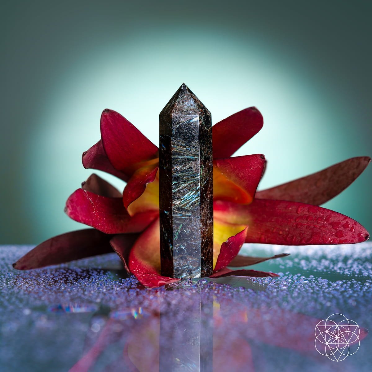 This Is Your Breakthrough – Rare Arfvedsonite Point by Conscious Items at Shirley Shoppe