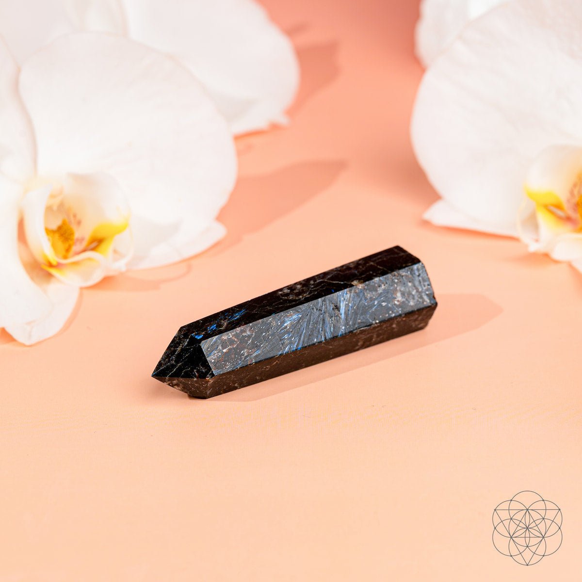 This Is Your Breakthrough – Rare Arfvedsonite Point by Conscious Items at Shirley Shoppe