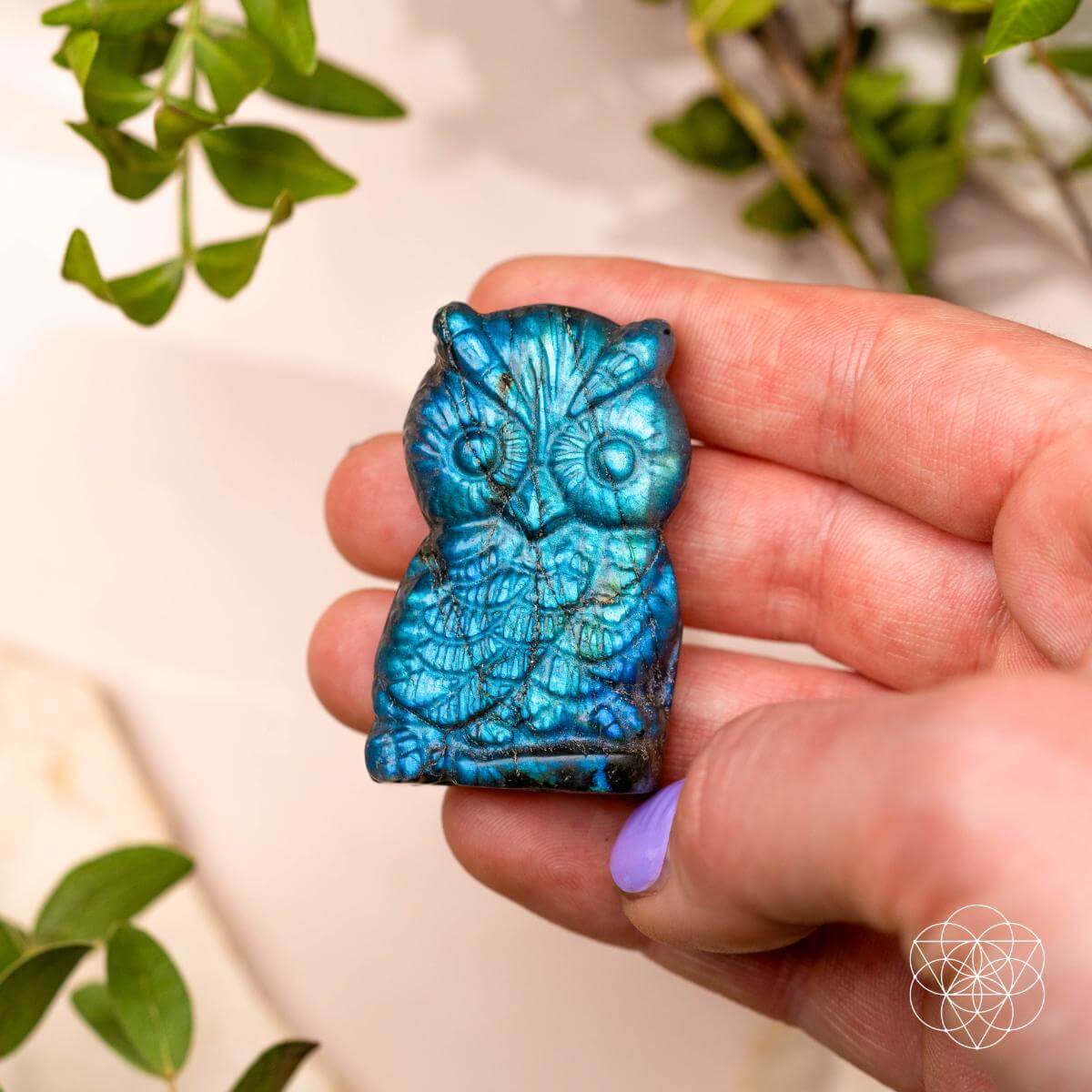 Token of Wisdom - Labradorite Owl Talisman by Conscious Items at Shirley Shoppe