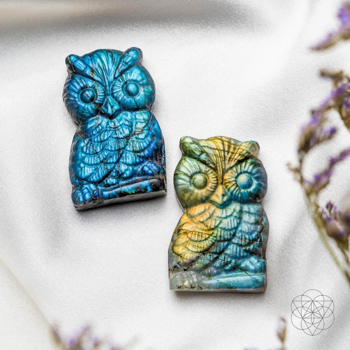 Token of Wisdom - Labradorite Owl Talisman by Conscious Items at Shirley Shoppe