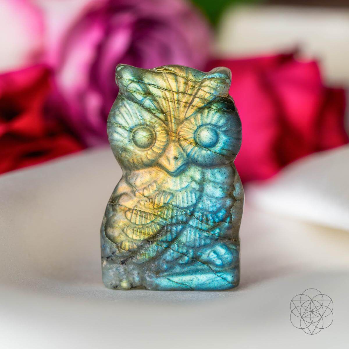 Token of Wisdom - Labradorite Owl Talisman by Conscious Items at Shirley Shoppe