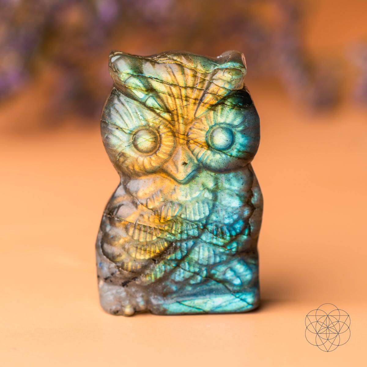 Token of Wisdom - Labradorite Owl Talisman by Conscious Items at Shirley Shoppe