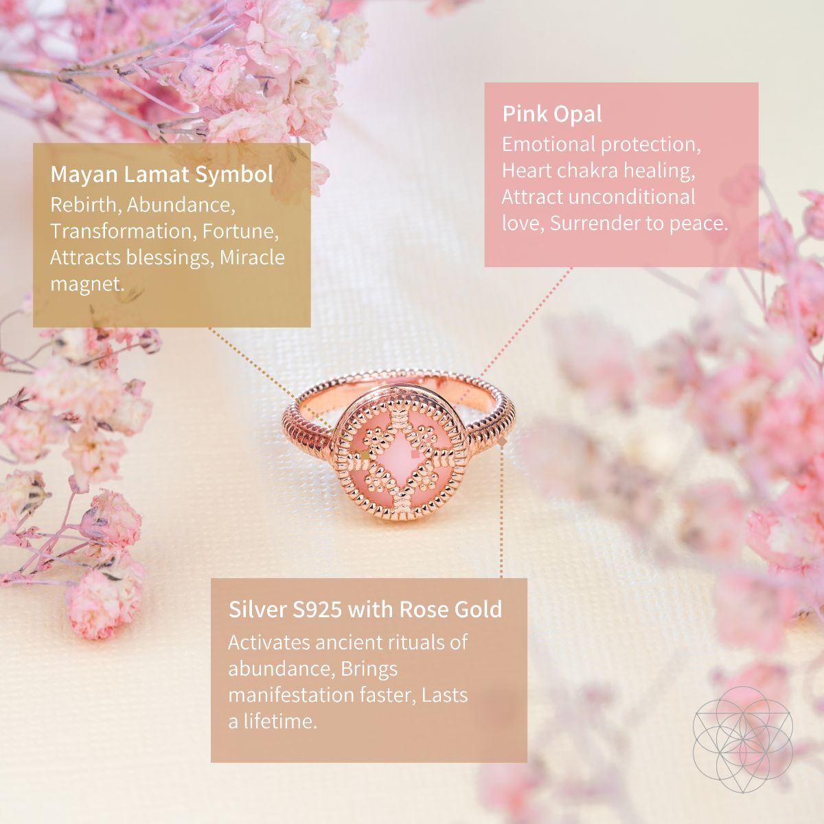 Totem of Abundance: Mayan Lamat Silver Ring of Miracles by Conscious Items at Shirley Shoppe