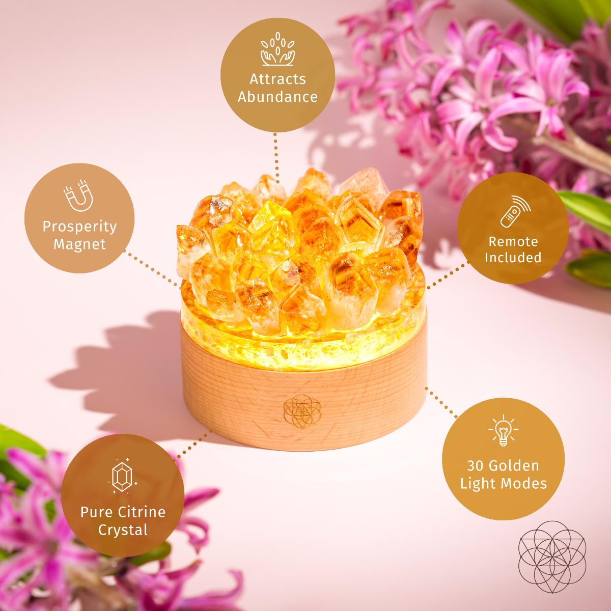 Turn My Life to Gold - Midas Citrine Lamp by Conscious Items at Shirley Shoppe