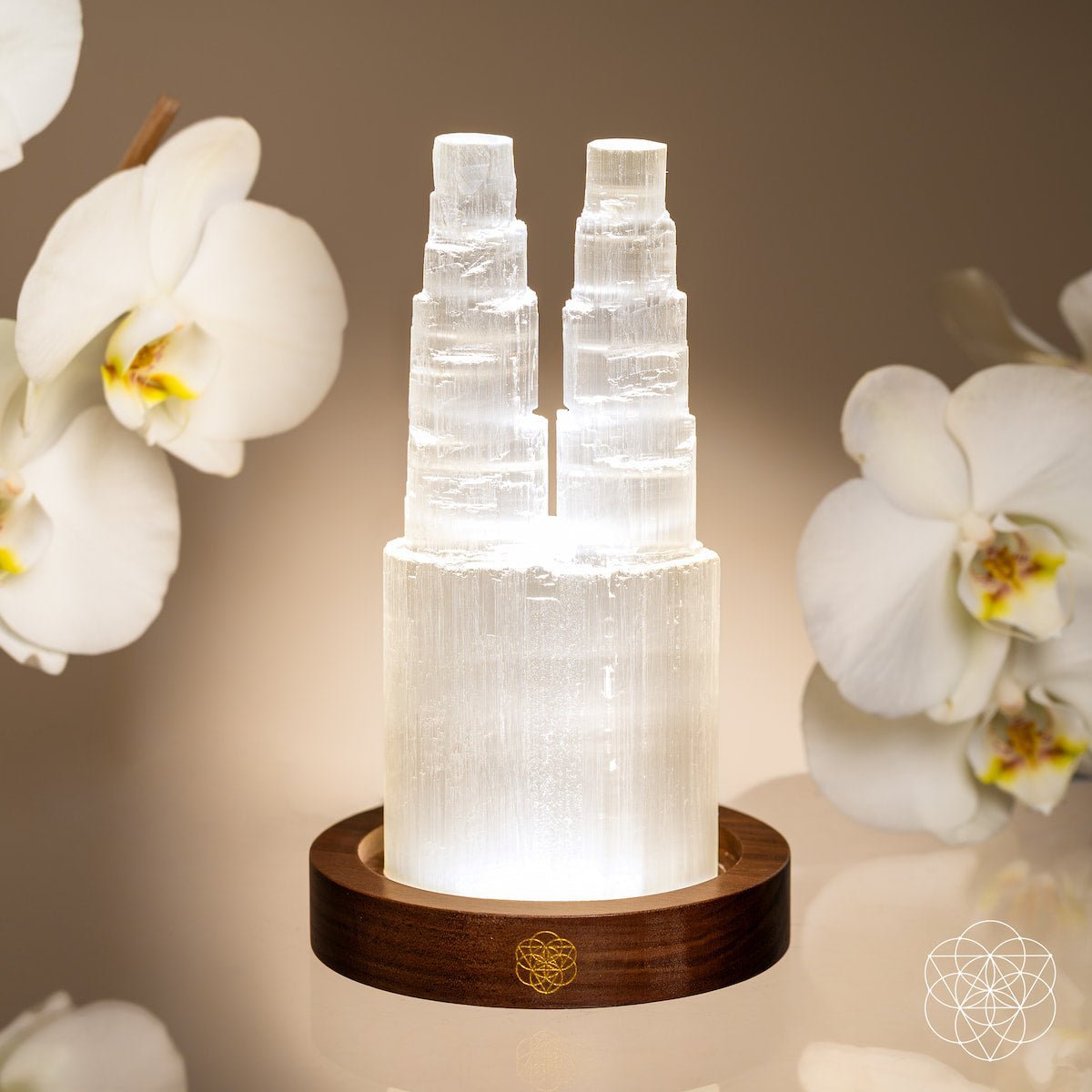 Two-Tower Selenite Lamp – Deep Energy Cleanse & Reset by Conscious Items at Shirley Shoppe
