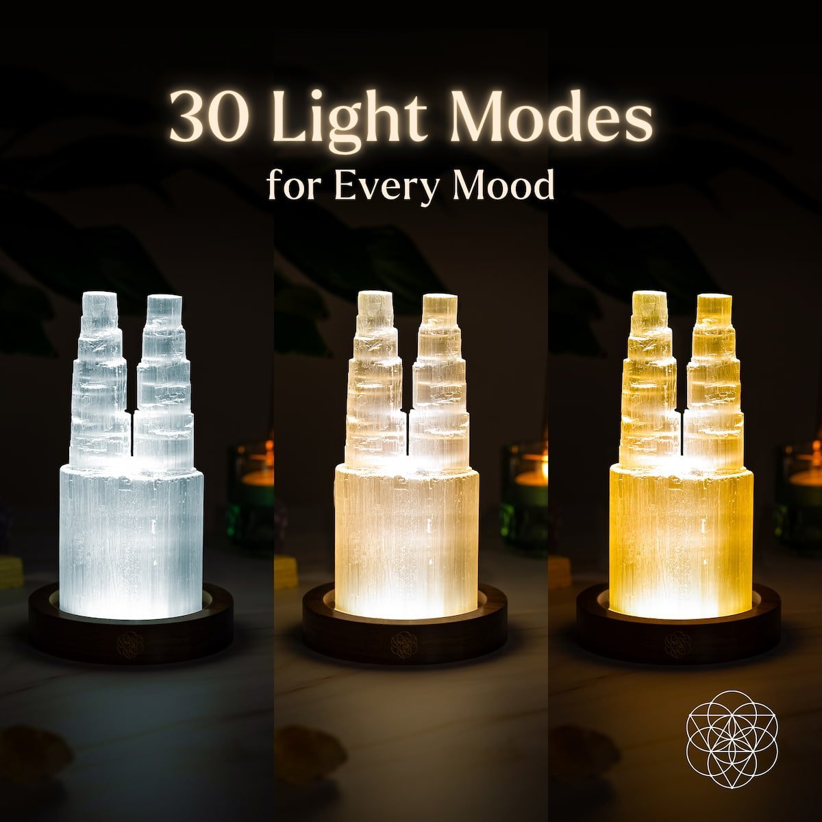 Two-Tower Selenite Lamp – Deep Energy Cleanse & Reset by Conscious Items at Shirley Shoppe