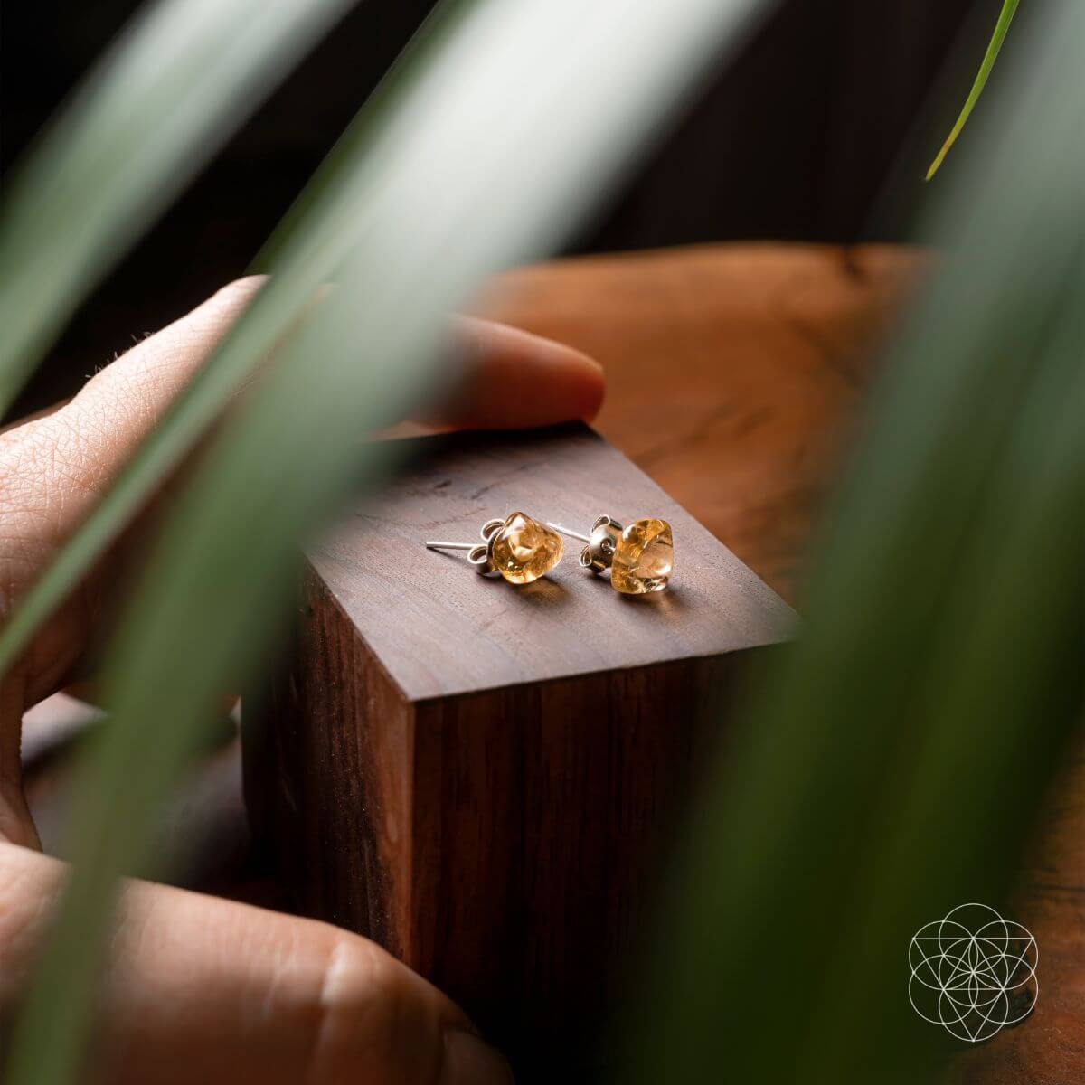Wealth and Abundance Earring Set by Conscious Items at Shirley Shoppe
